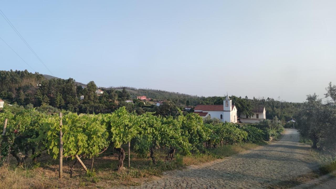 Pomar Das Oliveiras - Private Swimming Pool - Free Ev Chrg - Pet Friendly Carvalhal  Exterior photo